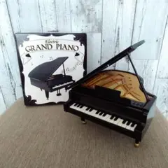 Electric GRAND PIANO エレクトリックグランドピアノ