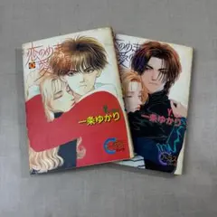 【1080】恋のめまい 愛の傷 1～2巻 全巻 一条ゆかり