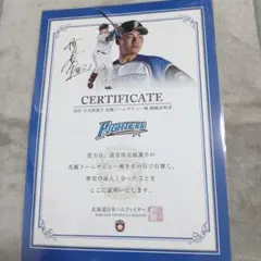 Item thumbnail for item 60b98af0-99b7-4112-ba29-5de1ed3d12db