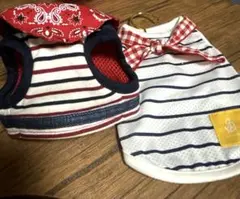 Item thumbnail for item 4b09a9f7-3f2f-4f58-9127-8db3707ea981