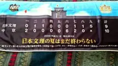 【非売品】高校野球　甲子園　オリジナル冷感クールタオル　日本文理×中京