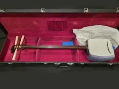 Item thumbnail for item 575a584c-84f7-4552-a1e7-fd656935c346