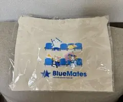 ベイスターズ　サコッシュ