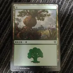 森