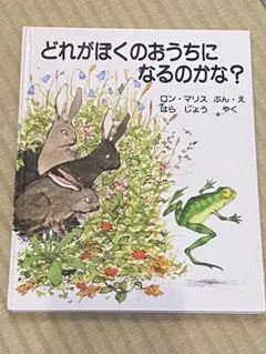 どれがぼくのおうちになるのかな？