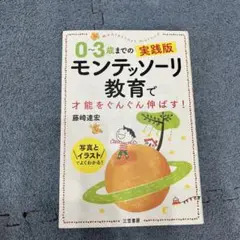 モンテッソーリ教育 0-3歳実践版
