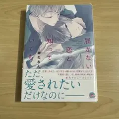 届かない恋と知っていても　岬ねおん　1点　BL マンガ　漫画　コミック