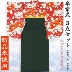 袴セット 二尺袖着物 華やか 無地袴 卒業式 3点セット(着物、袴、袴下帯)