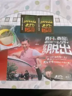 2025年最新】オードリーのオールナイトニッポン15周年展の人気