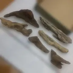 Item thumbnail for item ceac25a2-1eb1-4cc7-a8bc-6ebcd36f738a