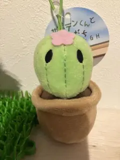サボテンくん おともだちマスコット