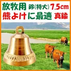 Item thumbnail for item 555db980-57f8-4a5c-9b9e-98ef5b729151