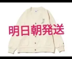 Item thumbnail for item 48d65d95-5851-4eca-896b-f6815eeadc2c