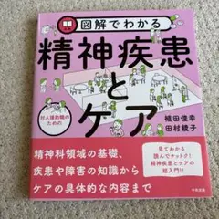 図解でわかる 対人援助職のための精神疾患とケア