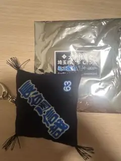 埼玉西武ライオンズ　長谷川信哉　ミニ座布団キーホルダー