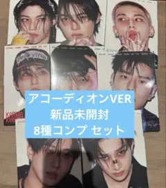 stray kids straykids KARMA 新品未開封 8種