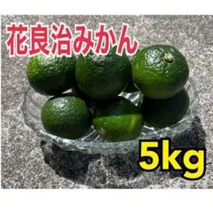 花良治みかん ケラジミカン 奄美大島産5kg