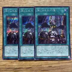 遊戯王 禁じられた一滴 シークレット
