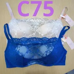 Item thumbnail for item 9592e906-0f86-494e-92e6-6c531a09f017