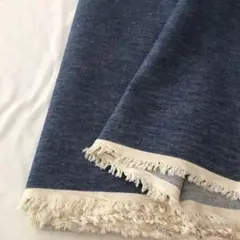 HO4X/280H5845◆280cm 限定/綿100%ライトオンスデニム生地