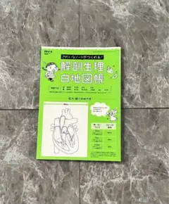 きれいなノートがつくれる！ 解剖生理 白地図帳 プチナース 付録