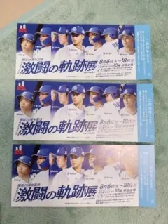 ドラゴンズ激闘の軌跡 チケット 3枚セット