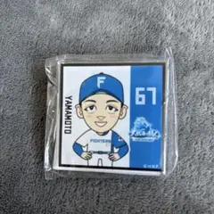 ファイターズ　ガチャ　アクリルバッジ