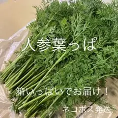 Item thumbnail for item 277a7a48-c5ca-480d-b55a-74e3ff3672d9