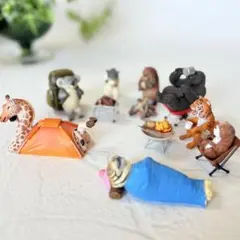 アニマルキャンプコレクション