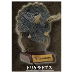 Item thumbnail for item d5a102ae-87aa-498e-bef3-0c0c21345b21