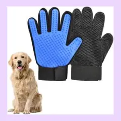 Item thumbnail for item 3e658458-a781-41de-9625-682dcf76f9b7