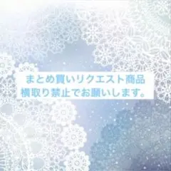 神**様　専用　横取り厳禁