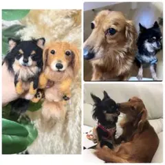 ラブ様　まんまるあにまるず　むぎゅver