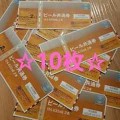 【期限切れ】ビール 10枚