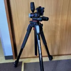 Item thumbnail for item b1467a19-158e-458f-b864-b901d1237421