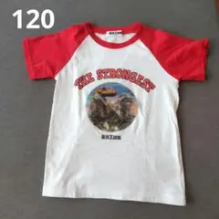 【即発送】【未使用に近い】最強王図鑑　Tシャツ　半袖　キッズ