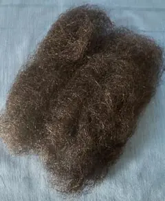 Item thumbnail for item de38f3eb-6de2-4320-97c8-c44ff858a9e7