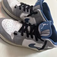 エアジョーダン 25センチ