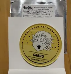 マグネット　サブノック