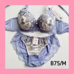Item thumbnail for item a5ba54aa-6470-42fd-9a25-810c4047e95c