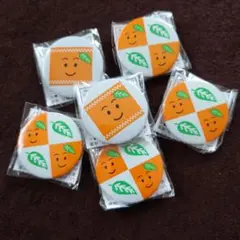 なっちゃん　缶バッジ6個セット