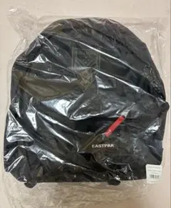 2025年最新】eastpak bump of chickenの人気アイテム - メルカリ