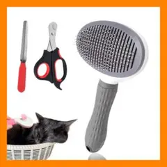 Item thumbnail for item 953eb212-b47f-49e8-bf0d-098a18991e63