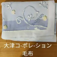 【期間限定値下げ】毛布 大津コーポレーション balman