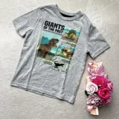 【ガラニマルズ】美品✨4T 恐竜　ティラノサウルス　ステゴサウス　トリケラトプス