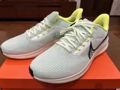 AIR ZOOM PEGASUS 39 エアズームペガサス　29cm