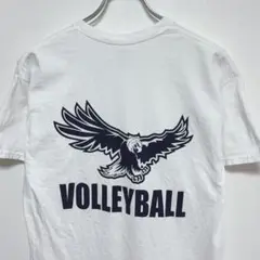 イーグルUS古着 デザイン性・雰囲気・配色・柄 ◎グッドプリントTシャツ