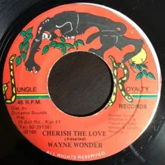 ⑦Wayne Wonder / Cherish The Love