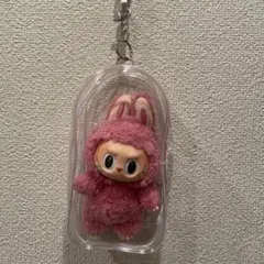 【新品未開封】ラブブ　Labubu 透明ケース