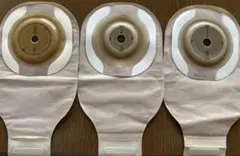 Item thumbnail for item 6e0acff8-649d-4f1d-9d38-532999b0420e